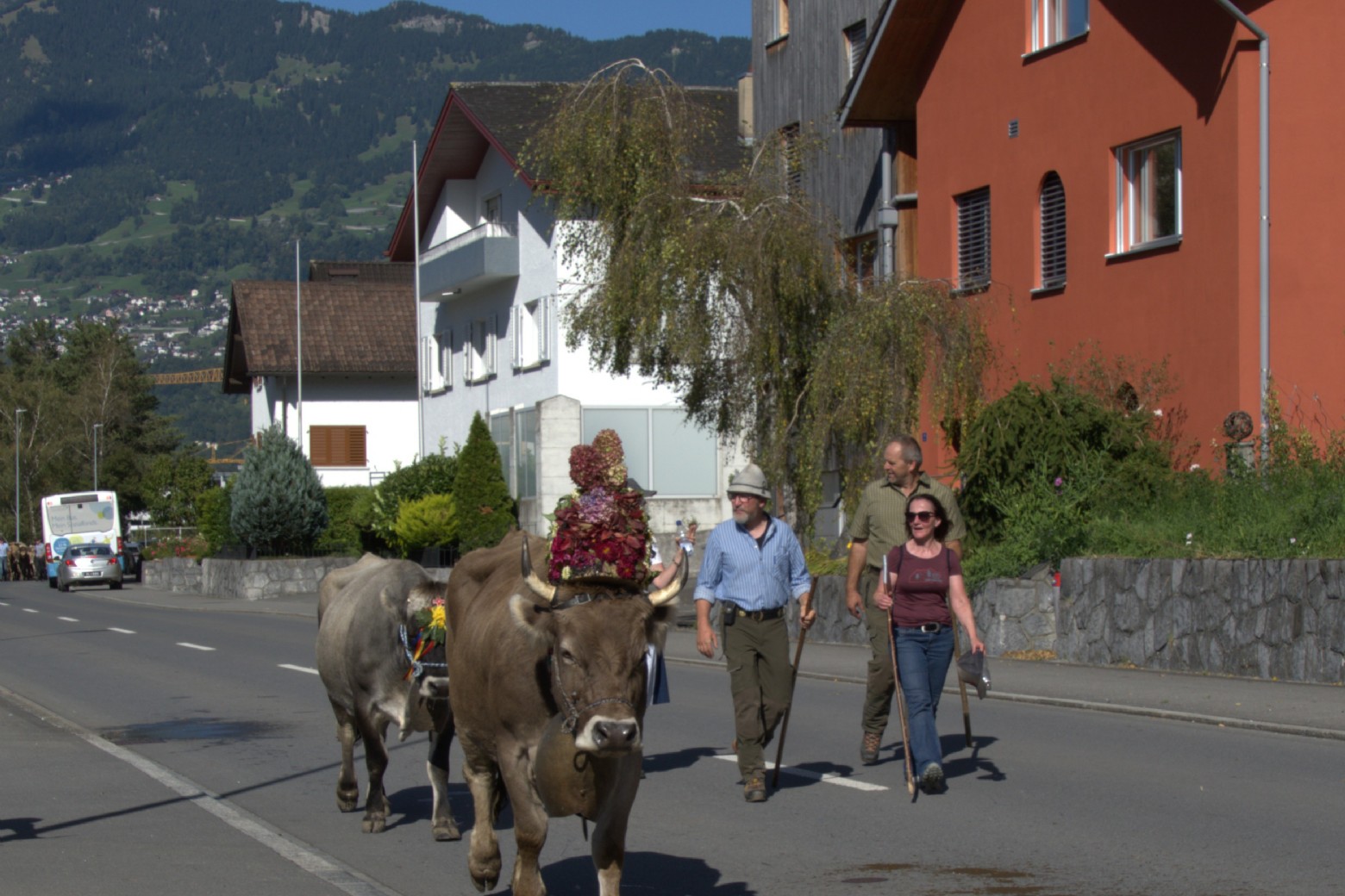 Bildbeschreibung