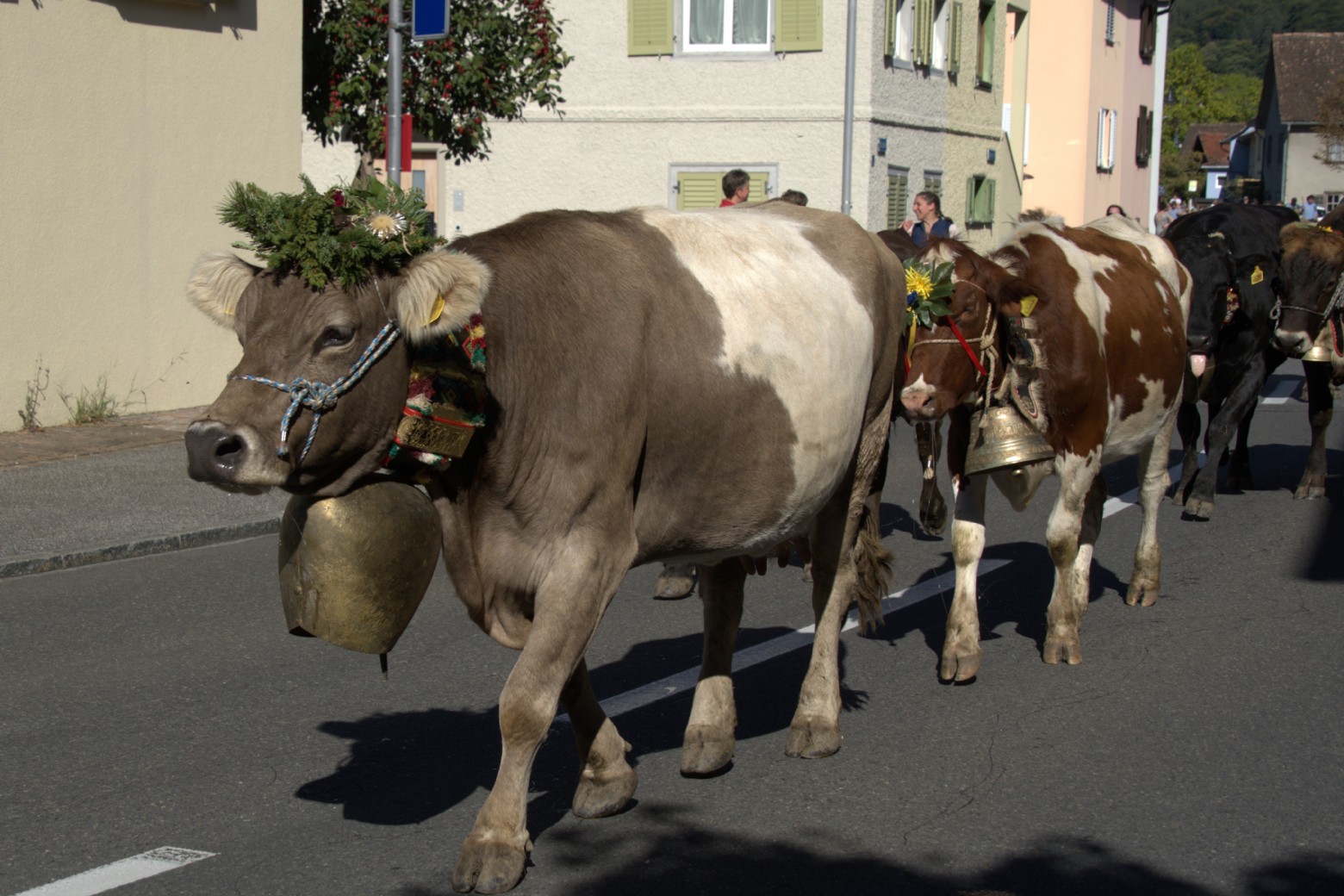 Bildbeschreibung