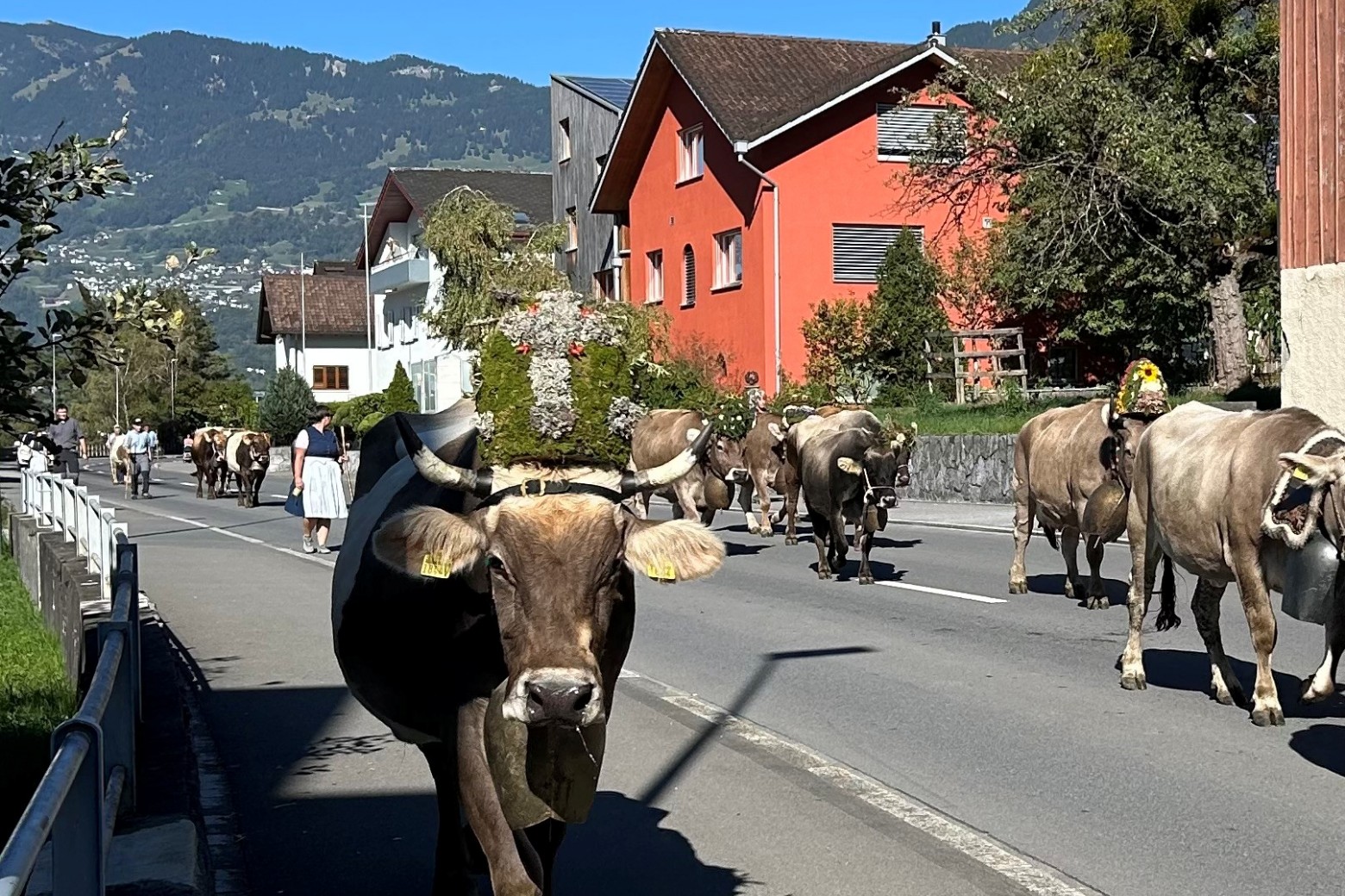 Bildbeschreibung