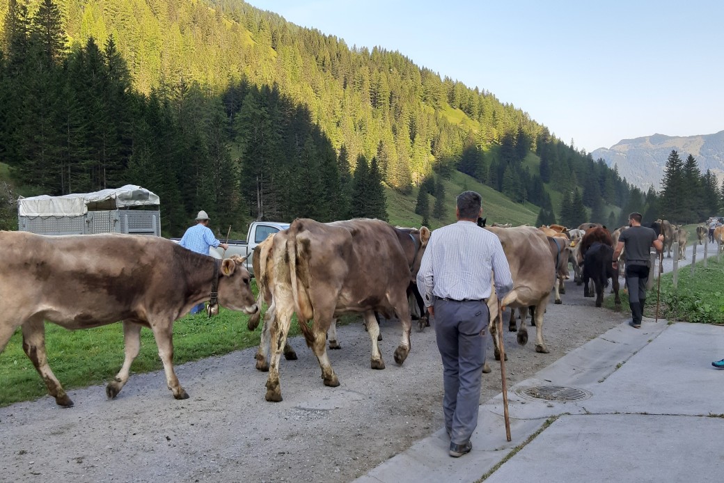 Bildbeschreibung