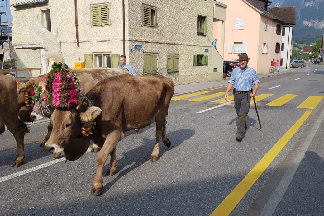 Bildbeschreibung