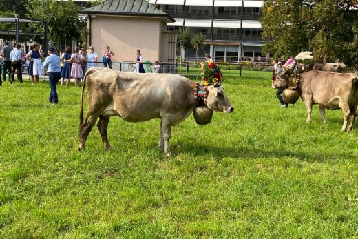 Bildbeschreibung