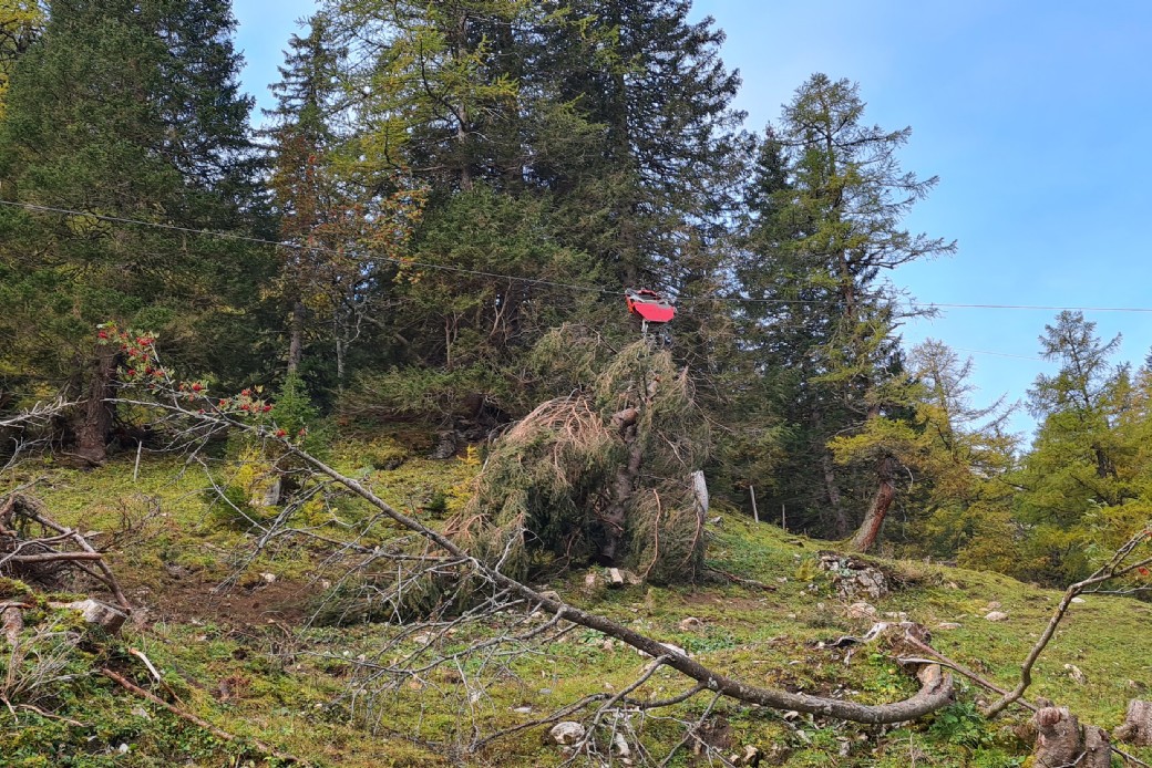 Bildbeschreibung