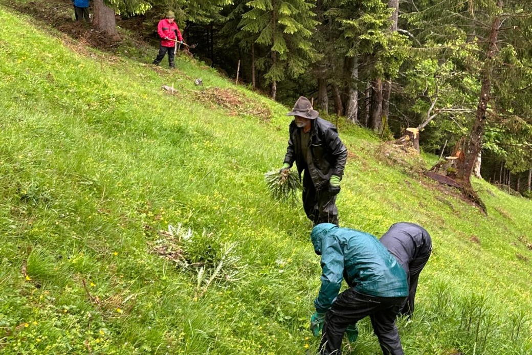 Bildbeschreibung