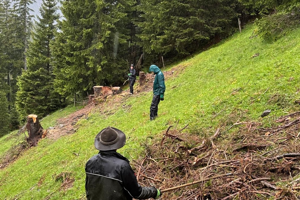 Bildbeschreibung