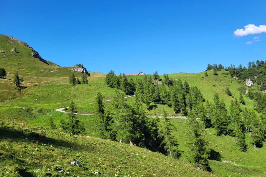 Bildbeschreibung