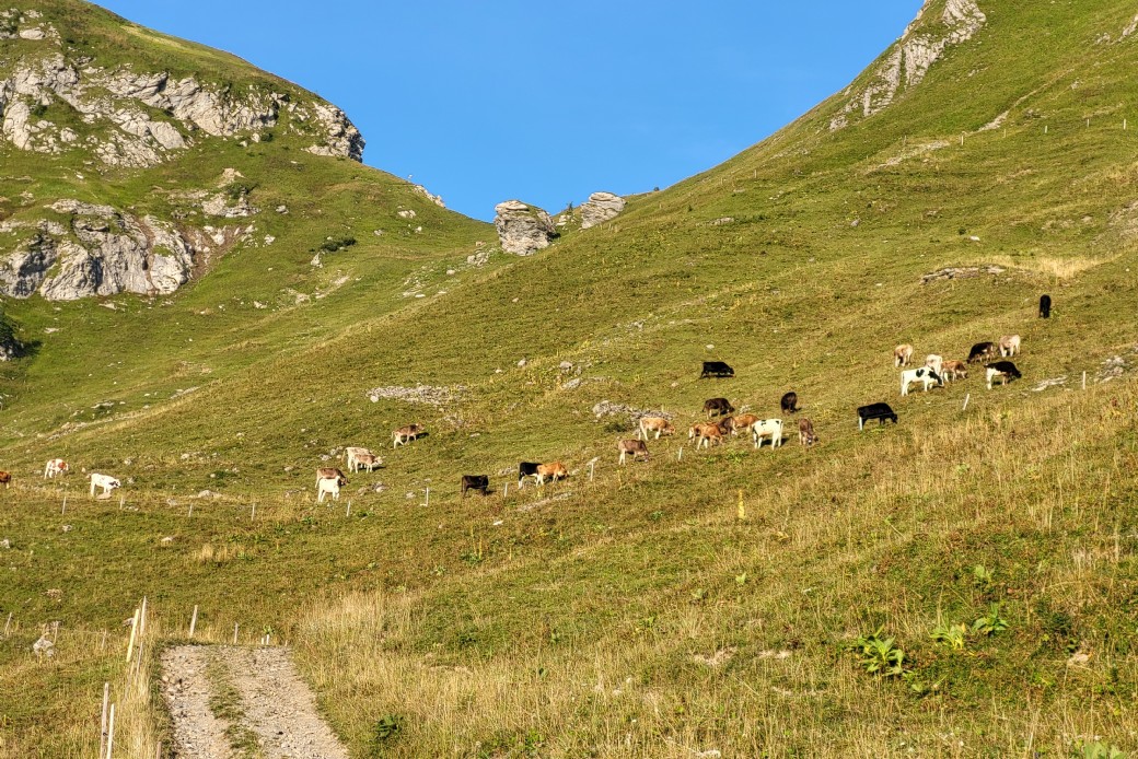 Bildbeschreibung